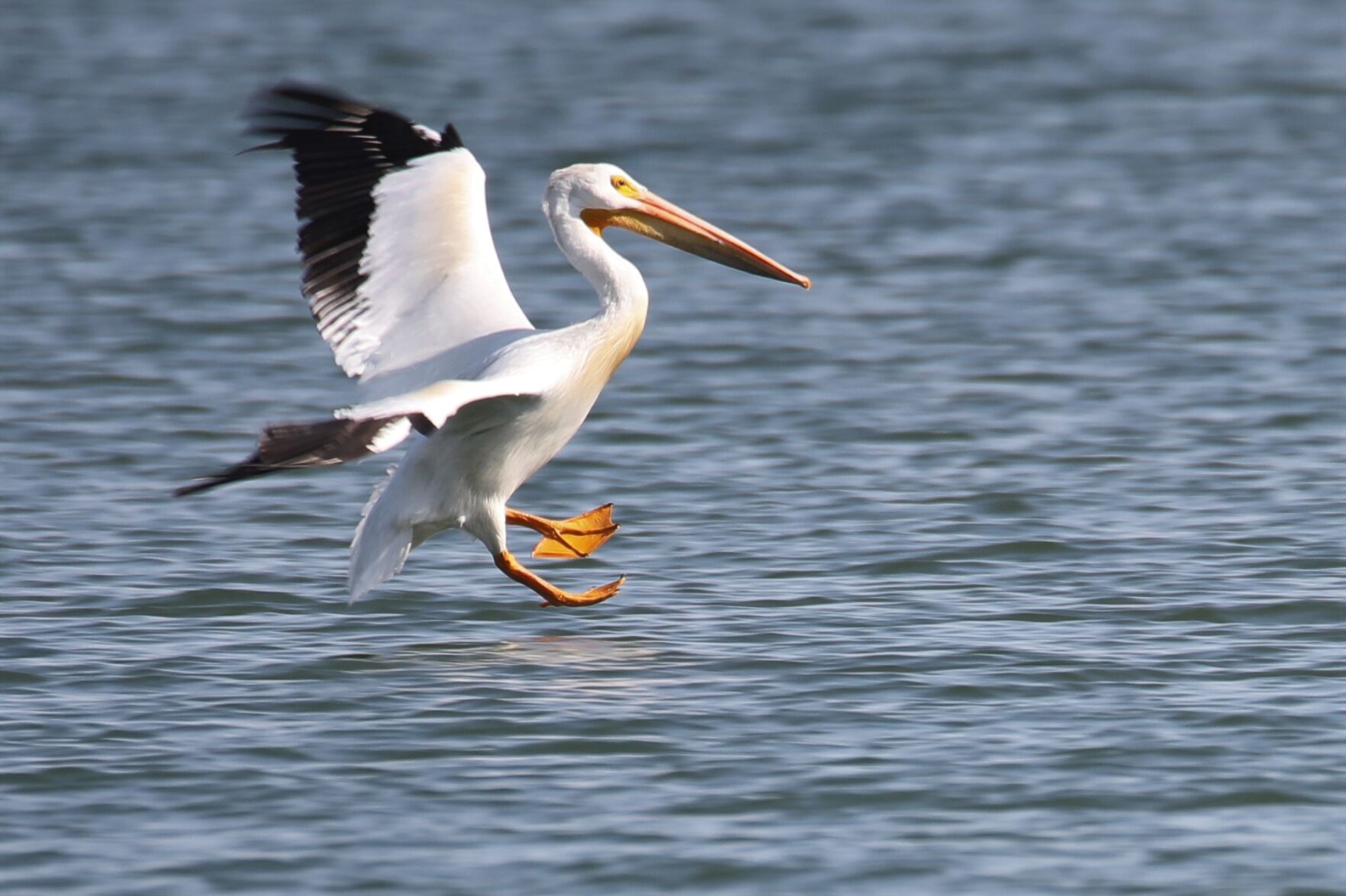 Water Landing
